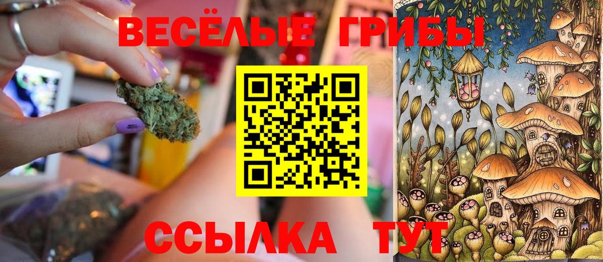 Кинель  Галлюциногенные грибы GOLDEN TEACHER  как найти закладки  Вход с VPN 